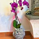 ベッド・アンド・ブレックファスト Casa Gentile