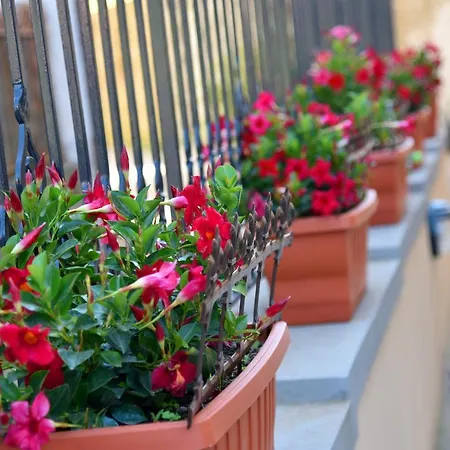 Bed & Breakfast Casa Gentile Agerola