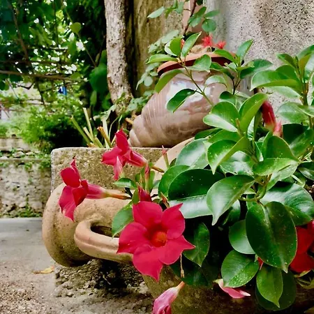 Casa Gentile * Agerola