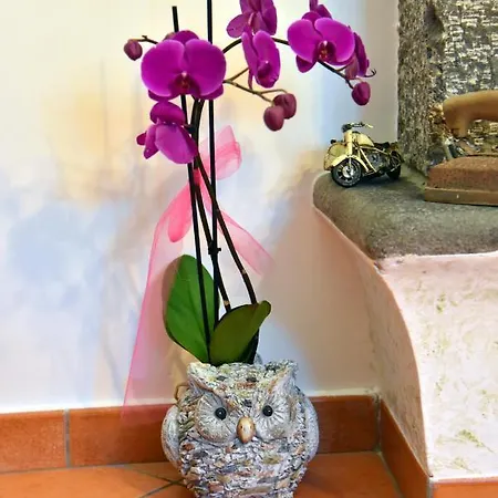 Bed & Breakfast Casa Gentile