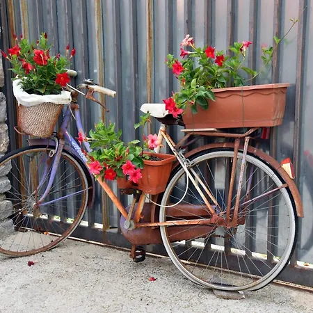 Casa Gentile Bed & Breakfast