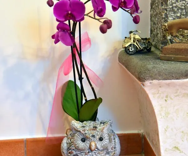 Bed and breakfast Casa Gentile